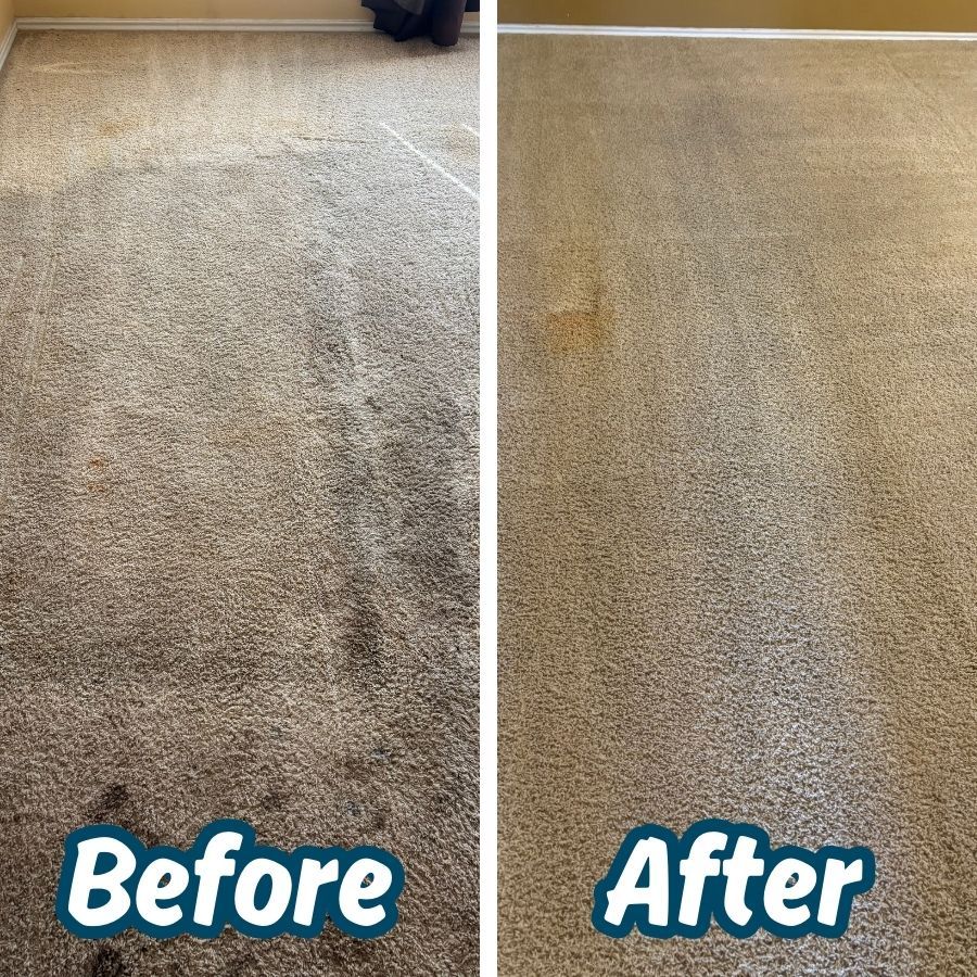 Carpet Cleaning Before After 1-15-2026