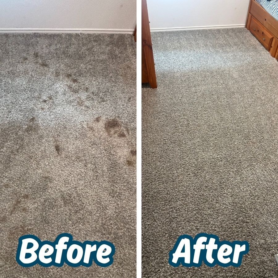 Carpet Cleaning Before After 1-6-2026