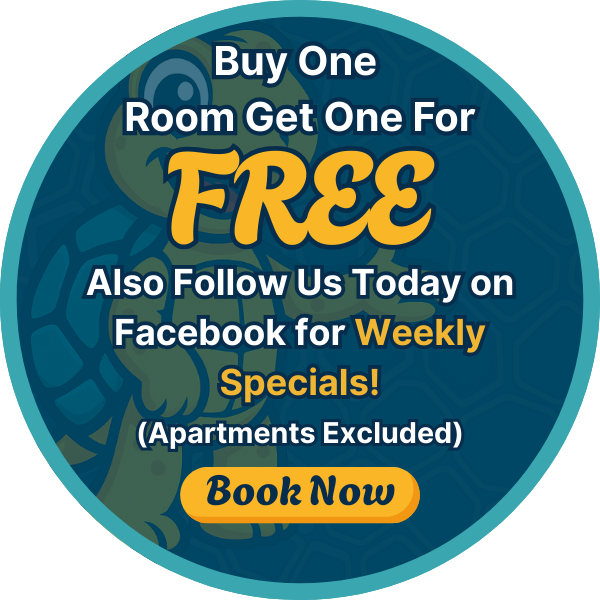 Snappy Clean Popup Bogo