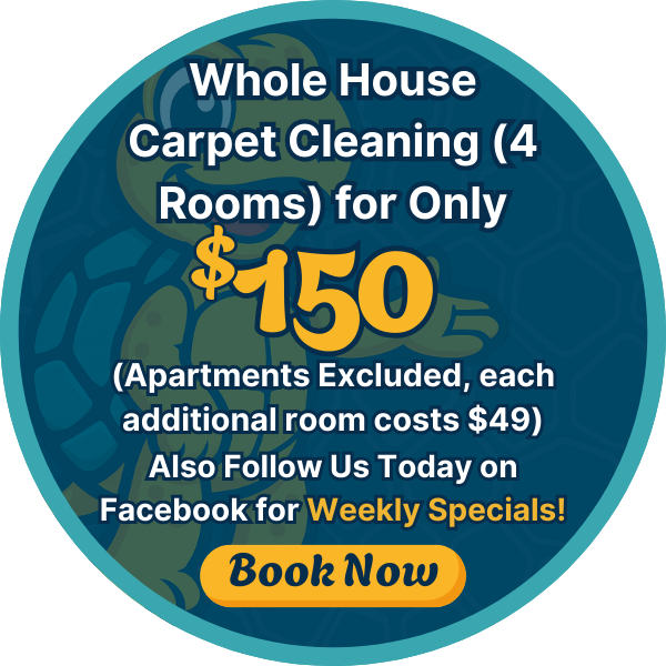 Snappy Clean Popup Whole House